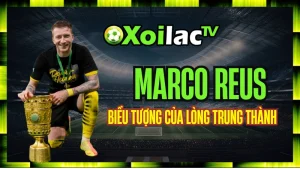 Marco Reus – Biểu Tượng Của Lòng Trung Thành Và Nỗi Đau Chấn Thương