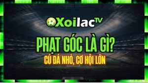 Phạt Góc Là Gì? – Cú Đá Nhỏ, Cơ Hội Lớn