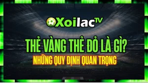 Thẻ Vàng Thẻ Đỏ Là Gì? Bộ Luật Kỷ Luật Trong Bóng Đá Và Những Quy Định Quan Trọng
